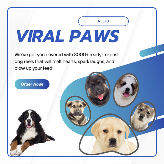 Viral Paws