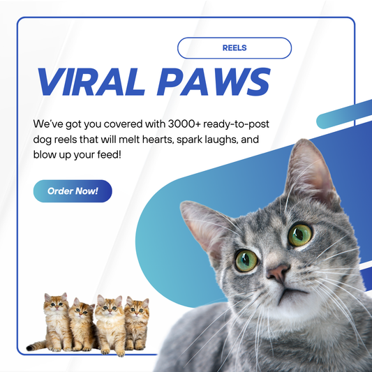 Purrfect Reels – Viral Cat Content Pack